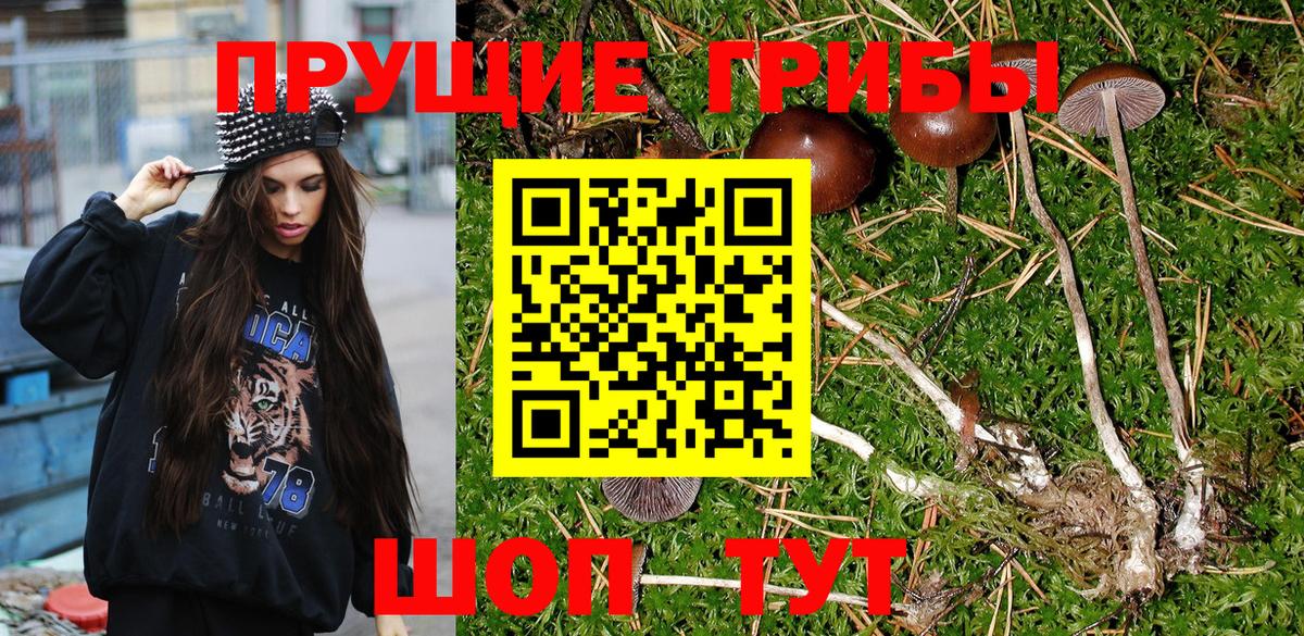 Галлюциногенные грибы Psilocybe  Вход с VPN  Ревда 
